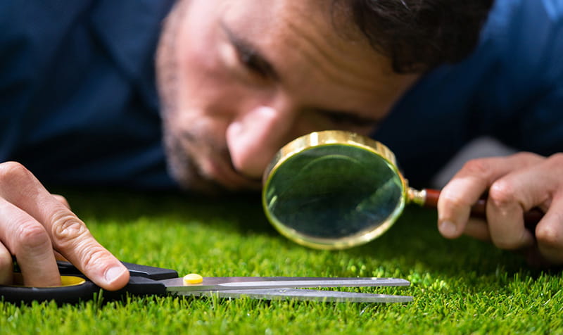 Cutting Grass